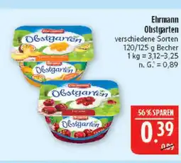 Marktkauf Ehrmann obstgarten Angebot