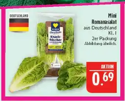 Marktkauf Edeka mini romanasalat Angebot