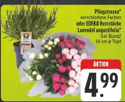 Edeka Edeka pfingstrosen Angebot