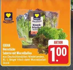 Edeka Edeka herzstücke salatrio mit wurzelballen Angebot