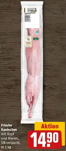 REWE Frische Kaninchen Angebot
