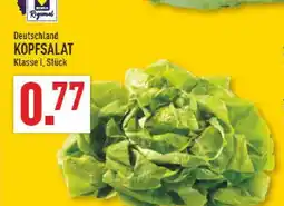 Marktkauf Kopfsalat Angebot