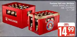 Edeka Paulaner Hell oder Weißbier Angebot