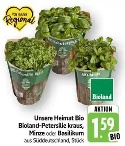 Edeka Unsere Heimat Bio Bioland-Petersilie kraus, Minze oder Basilikum Angebot