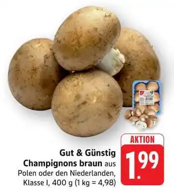 Edeka Gut & Günstig Champignons braun Angebot