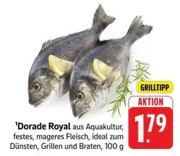 Edeka Dorade Royal Angebot