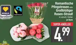 Edeka Romantische Pfingstrosen oder Großblütiger Rosen-Strauß Angebot