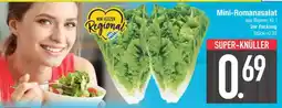 Edeka Mini-Romanasalat Angebot