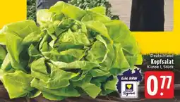 Edeka Kopfsalat Angebot