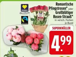 Edeka Romantische Pfingstrosen oder Großblütiger Rosen-Strauß Angebot