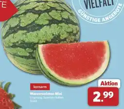 Combi Wassermelonen Mini Angebot