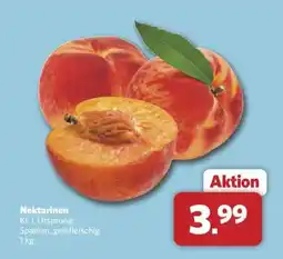 Combi Nektarinen Angebot