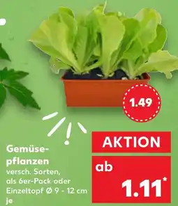 Kaufland Gemüsepflanzen Angebot