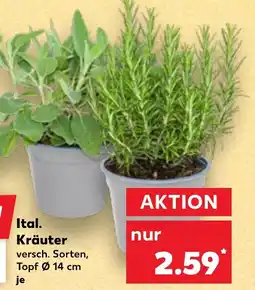 Kaufland Ital. Kräuter Angebot