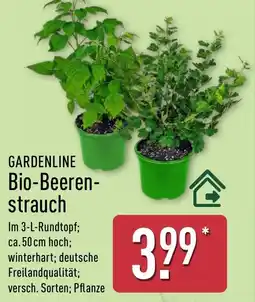 Aldi Nord GARDENLINE Bio-Beerenstrauch Angebot