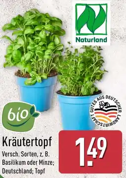 Aldi Nord Kräutertopf Angebot