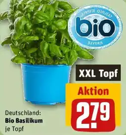 REWE Bio Basilikum Angebot