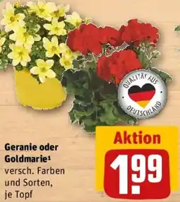 REWE Geranie oder Goldmarie Angebot