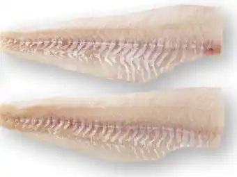 Scheck-in-Center Kabeljaufilet Angebot