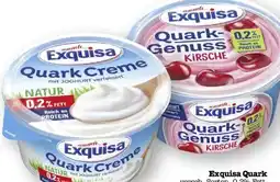 Scheck-in-Center Exquisa Quark Angebot