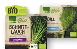 Scheck-in-Center Edeka Bio Dill Angebot