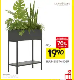 XXXLutz Landscape blumenständer Angebot