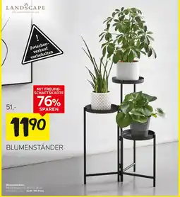 XXXLutz Landscape blumenständer Angebot
