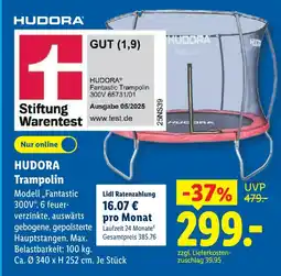 Lidl Hudora fantastic trampolin 300v Angebot