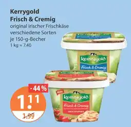 V Markt Kerrygold frisch & cremig Angebot