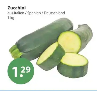 V Markt Zucchini Angebot