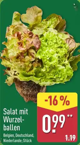 Aldi Nord Salat mit Wurzelballen Angebot