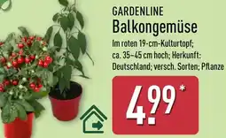 Aldi Nord GARDENLINE Balkongemüse Angebot