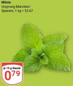 Globus Minze Angebot