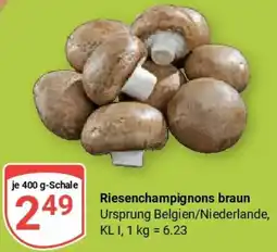 Globus Riesenchampignons braun Angebot