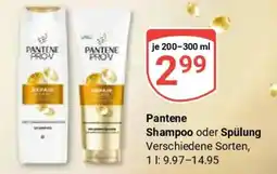 Globus Pantene Shampoo oder Spülung Angebot