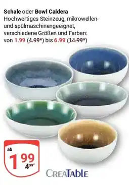 Globus CREATABLE Schale oder Bowl Caldera Angebot