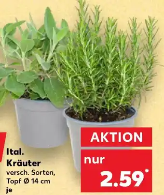 Kaufland Ital. Kräuter Angebot
