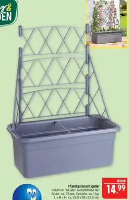 Marktkauf Pflanzkasten mit spalier Angebot