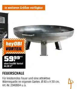 OBI FEUERSCHALE Angebot