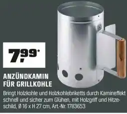 OBI ANZÜNDKAMIN FÜR GRILLKOHLE Angebot