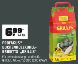 OBI PROFAGUS BUCHENHOLZKOHLEBRIKETTS „GRILLIS“ Angebot
