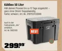 OBI Kühlbox 50 Liter Angebot