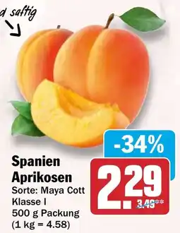 HIT Spanien Aprikosen Angebot