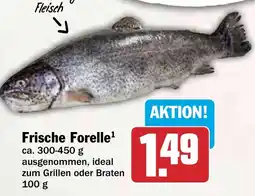 HIT Frische Forelle Angebot