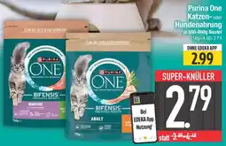 E-Center Purina One Katzen oder Hundenahrung Angebot