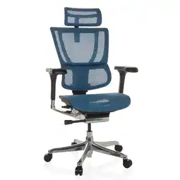 Netto Marken-Discount hjh OFFICE Luxus Chefsessel ERGOHUMAN SLIM GEN2 Netzstoff mit Armlehnen (höhenverstellbar) Angebot