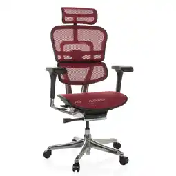 Netto Marken-Discount hjh OFFICE Luxus Chefsessel ERGOHUMAN GEN2 Netzstoff mit Armlehnen (höhenverstellbar) Angebot