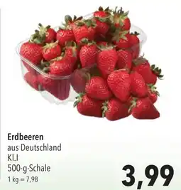 CITTI Markt Erdbeeren Angebot