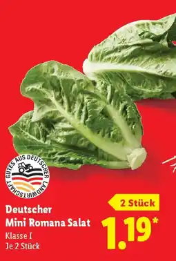 Lidl Deutscher Mini Romana Salat Angebot