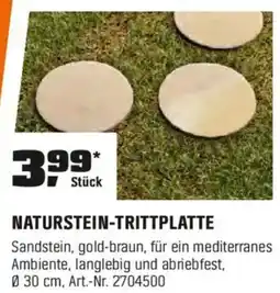 OBI NATURSTEIN-TRITTPLATTE Angebot